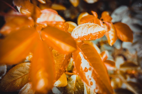 Land 6 by SonicSkylineMedia